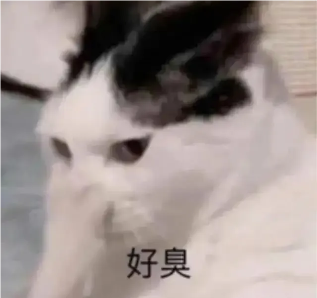 1670554340213205.png G2TM1H0~OWJ$N4XML8A~4CJ.png